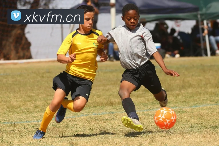 乐鱼app登录入口官网品牌故事