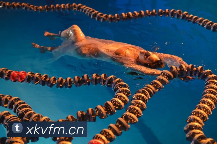 乐鱼app登录入口官网服务体系